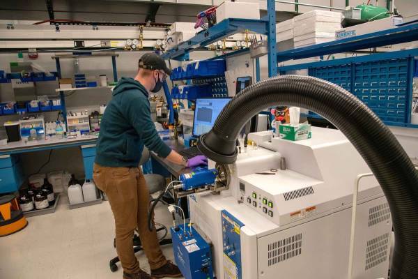 Allarme in Maryland: Mercato delle droghe illecite invaso da un Tranquillante per Animali