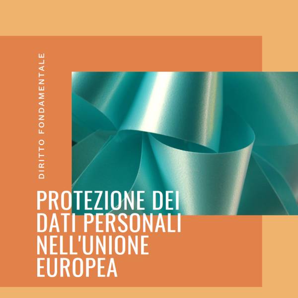 Il Diritto alla Protezione dei Dati Personali nell'Unione Europea